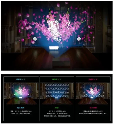 ※写真は全てイメージです