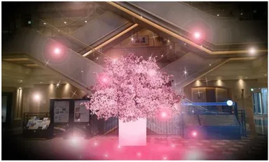 ※写真は全てイメージです