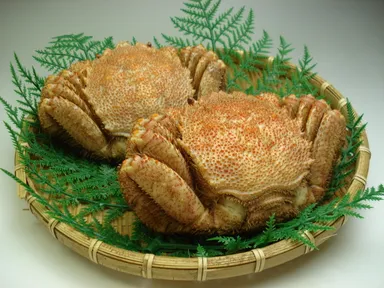 休暇村賞　支笏湖　北海道産毛ガニ(2尾)