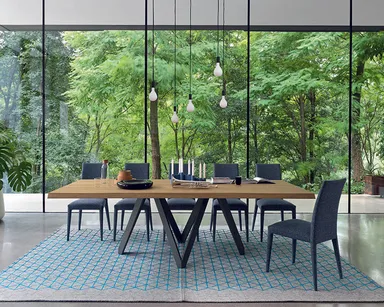 カリガリス イメージ