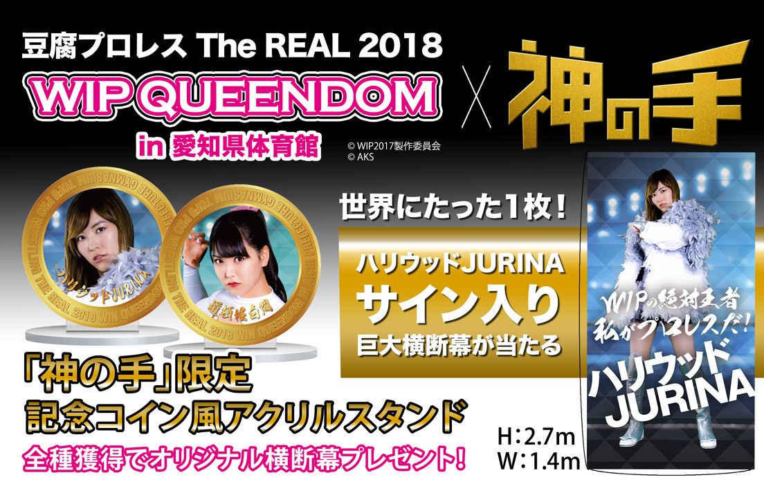 AKB48グループメンバーによるリアルプロレス対決豆腐プロレス The REAL