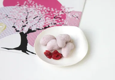 カシュー×Sakura