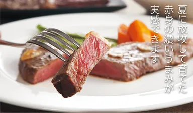 お取り寄せ短角牛