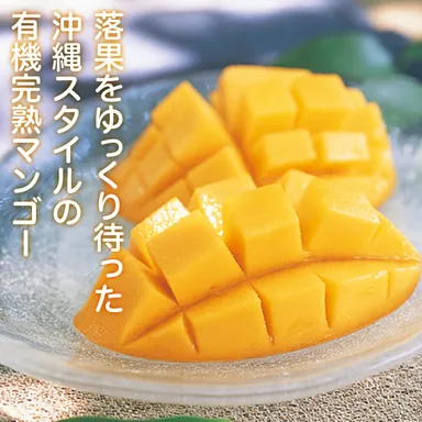 お取り寄せマンゴー