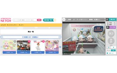 news feed image