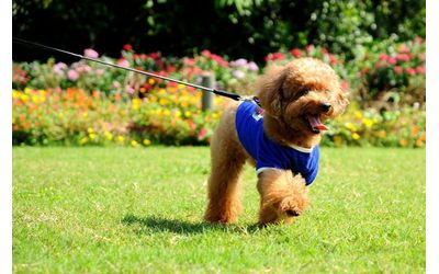 Fb img 150680 7