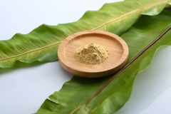花粉症対策には柑橘“じゃばら”の果皮粉末が効果アリ！？和歌山県北山村が花粉症モニター1,000名を3/1募集開始