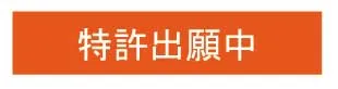 特許出願中