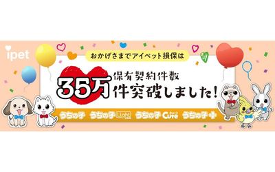 news feed image