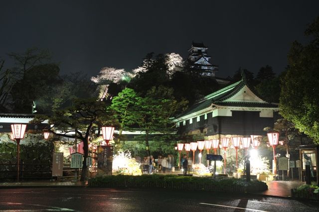 春は高知で花めぐり 高知の春花イベント情報をお届け ひと足早く春を告げる 雪割桜 まもなく見頃を迎えます 高知県観光政策課のプレスリリース