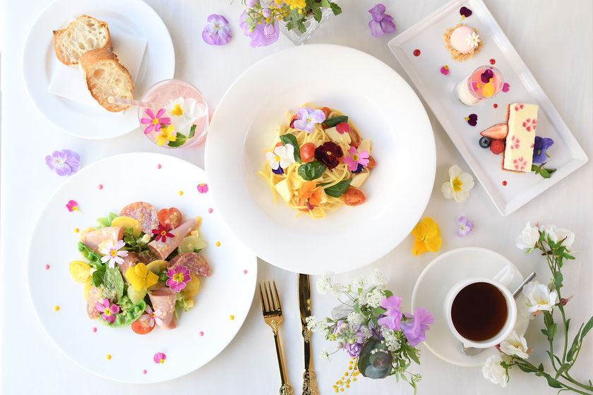 花満開、フォトジェニックなフラワーメニュー新登場 
「Spring Flower Garden」開催!