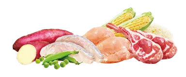 厳選された素材使用