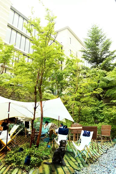 ドッグカフェ イメージ