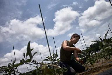 SHARE THE LOVE for JAPAN_2