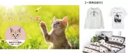 年間大賞10万円！ 第3回応募開始 ネコ画像の投稿サイトのマックハウス×猫びより 「いやしネコ大賞」