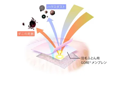 ロイヤルスター生地