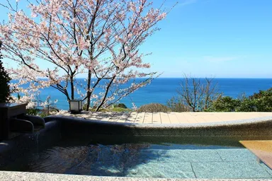 日本海と満開の桜を眺めながらの絶景の桜見風呂が楽しめます