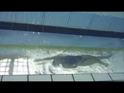 クロール泳法