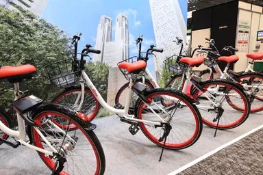 2017年の展示風景(抜粋)_11