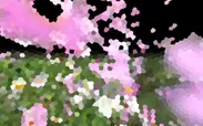 トンボの色覚を再現したVR映像