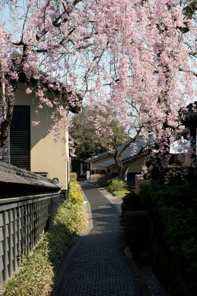 小布施の町並み2春