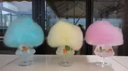 COTTON CANDY DRINK
