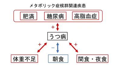 うつ病に関連する体格、生活習慣病、生活習慣モデル