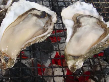 厚岸産蒸しカキ/北海道