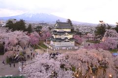 「弘前のさくら」をひと足先に羽田空港JALラウンジでお披露目　3月24日から期間限定、～青森県弘前市×JALコラボ企画～