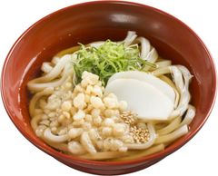 かけうどん