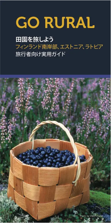 旅行者向け実用ガイド