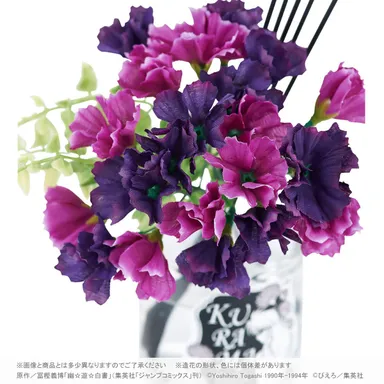 蔵馬のシマネキ草(1)