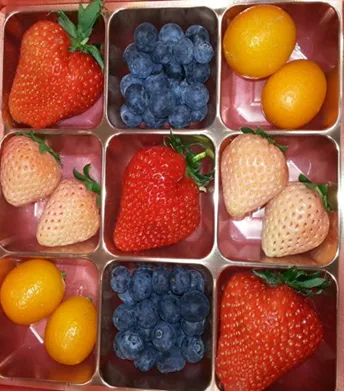 フルーツワールド／春の玉手箱(フルーツセット)