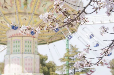 ウェーブスインガーと桜