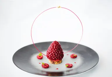 Raspberry_A Composition of Raspberry Delicacies