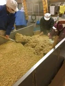 醤油用、麹造り