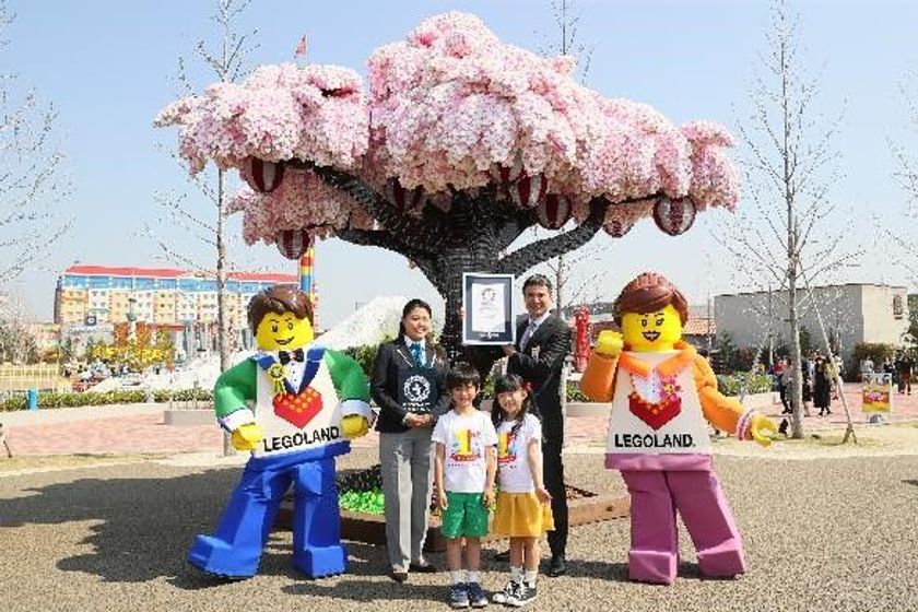 今年のお花見は『LEGOLAND Japan』で！
『レゴブロックで作られた最大の桜の木』
ギネス世界記録認定！

