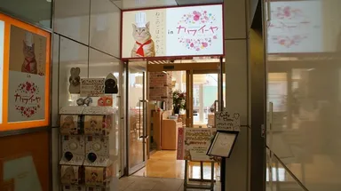 原宿カワイーヤ1