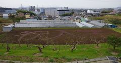 東京農業大学厚木キャンパス、3,600株の花文字「祝 入学」が新入生をお迎え