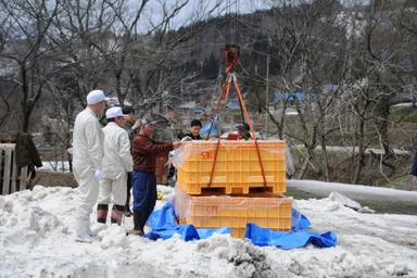 2017年4月掘出し(3)
