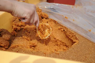 2017年4月掘出し(4)