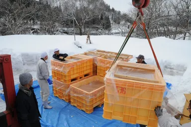 2018年1月埋蔵(3)