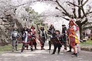 圧巻の桜のもと、日本で唯一といわれる「甲冑野点」も「小諸城址 懐古園」で実施