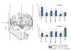 診断・治療法の確立していない「電磁波過敏症」に対するFPP(パパイヤ発酵食品)による臨床的改善および脳血流低下の正常化を示す論文を発表