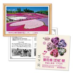4/14(土)に販売開始「芝桜記念入場券～芝桜写真入り硬券入場券～」