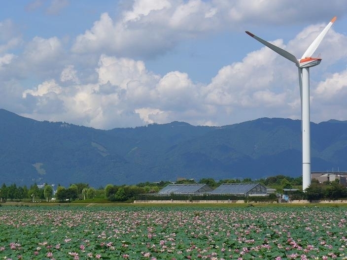 びわ湖畔で ふわり ふわり・・熱気球に乗ろう! 2010年7月21日より、びわ湖畔での熱気球フライト体験を実施