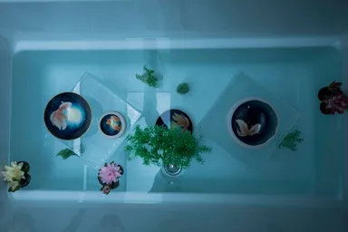 2017年の会場の様子_8