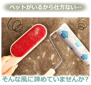 ペットの毛の悩み