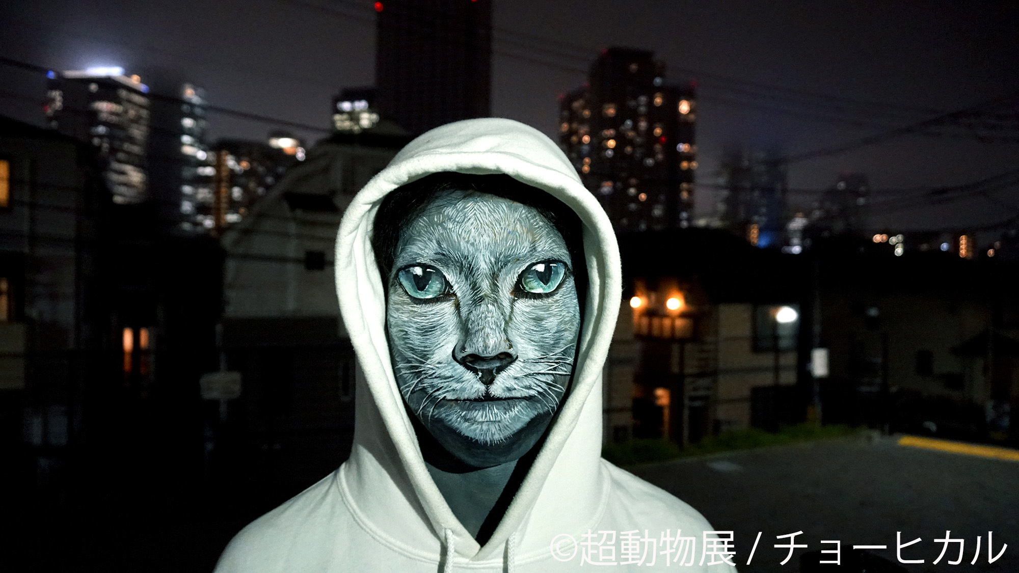 猫人間に泳ぐピザ 世界が注目するリアルなアート チョーヒカル の 超動物展 東京 5 18 名古屋 6 15 開催 株式会社baconのプレスリリース
