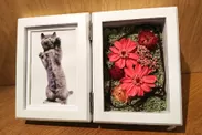 Photo frame  preserved flower Cute